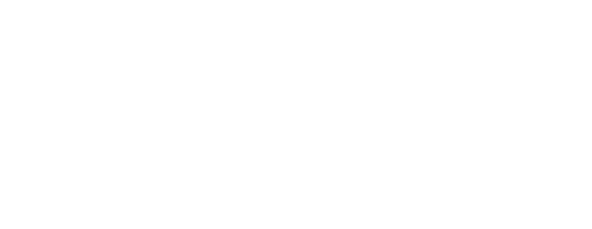 Webinar True Success